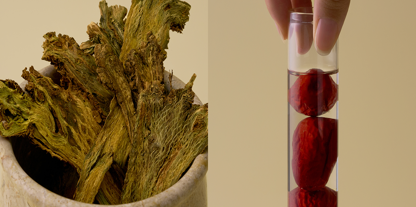 Traditional Chinese medicine ingredients — herbs and red jujubes, Terra Roots hero image