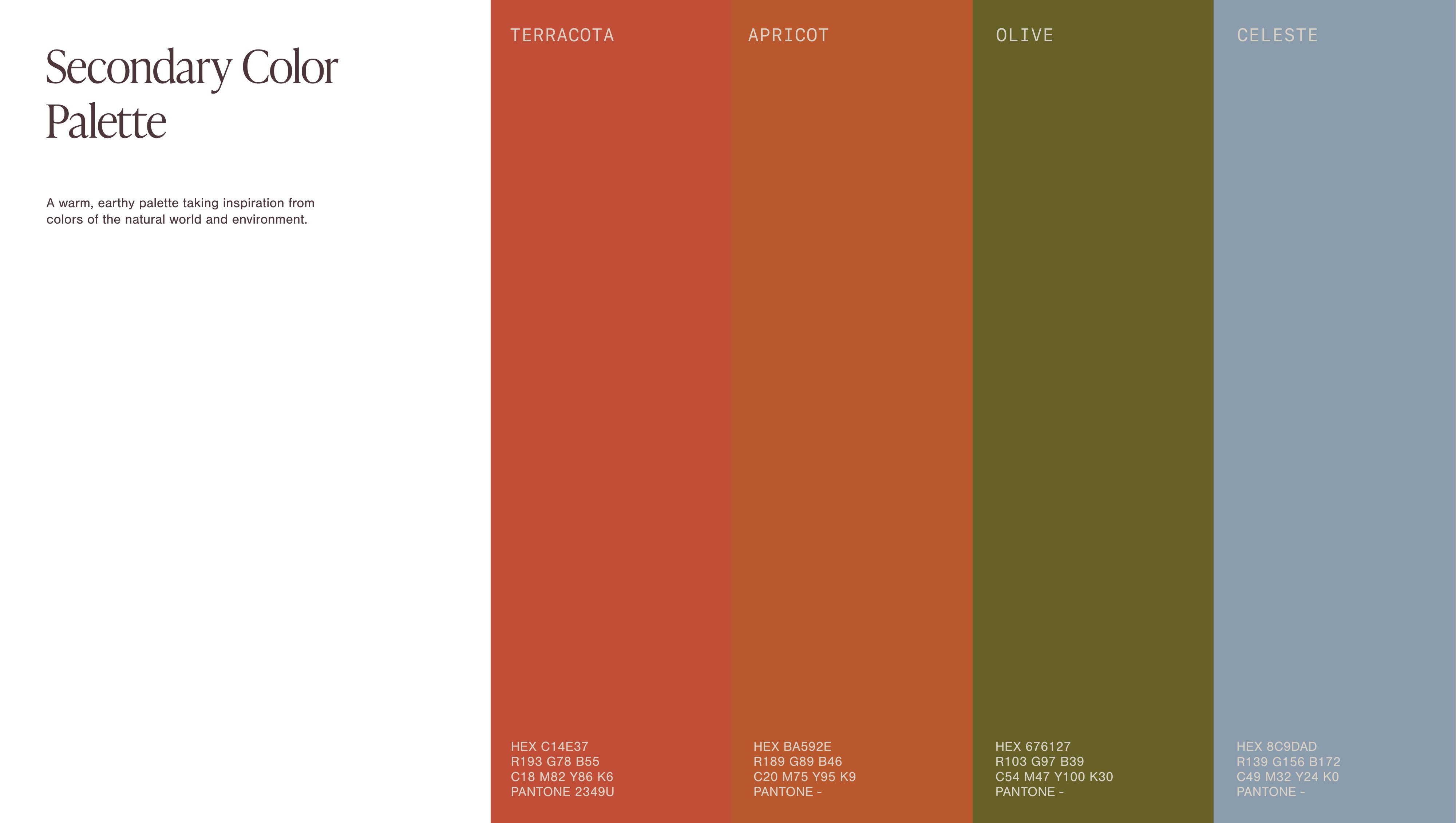 Terra Roots secondary colour palette — Terracotta, Apricot, Olive, Celeste